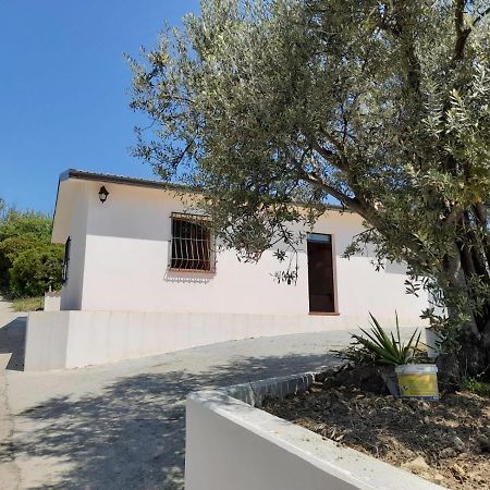 Villa Paradiso Montegiordano Exterior foto