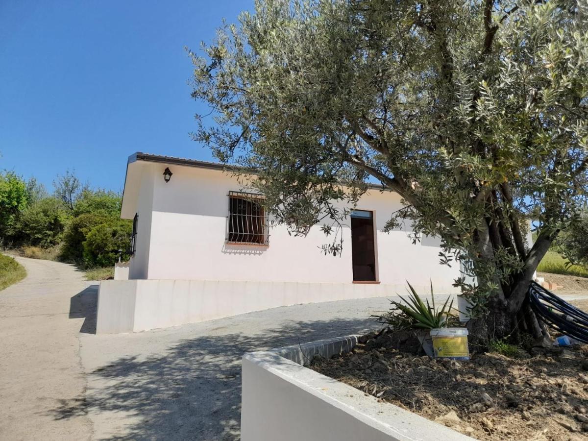 Villa Paradiso Montegiordano Exterior foto